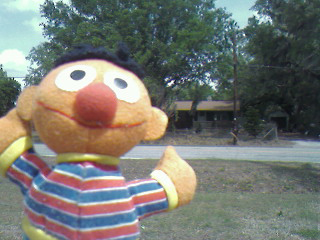 Ernie goes to FL
