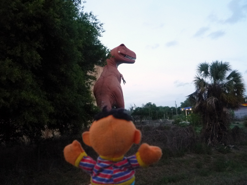 Ernie goes to FL
