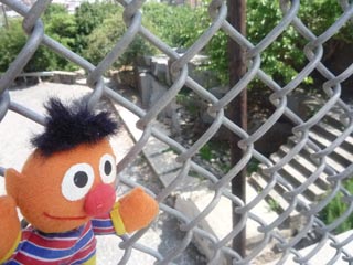 Ernie checking out Riverview-Fisk park