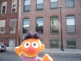 Ernie outside our windows
