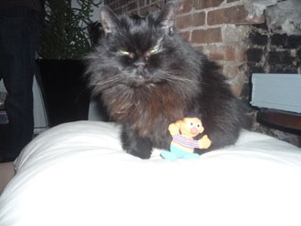 Ernie at Kims Party