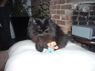 Ernie at Kims Party