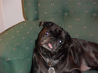 Molly